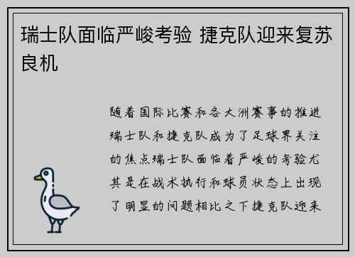 瑞士队面临严峻考验 捷克队迎来复苏良机