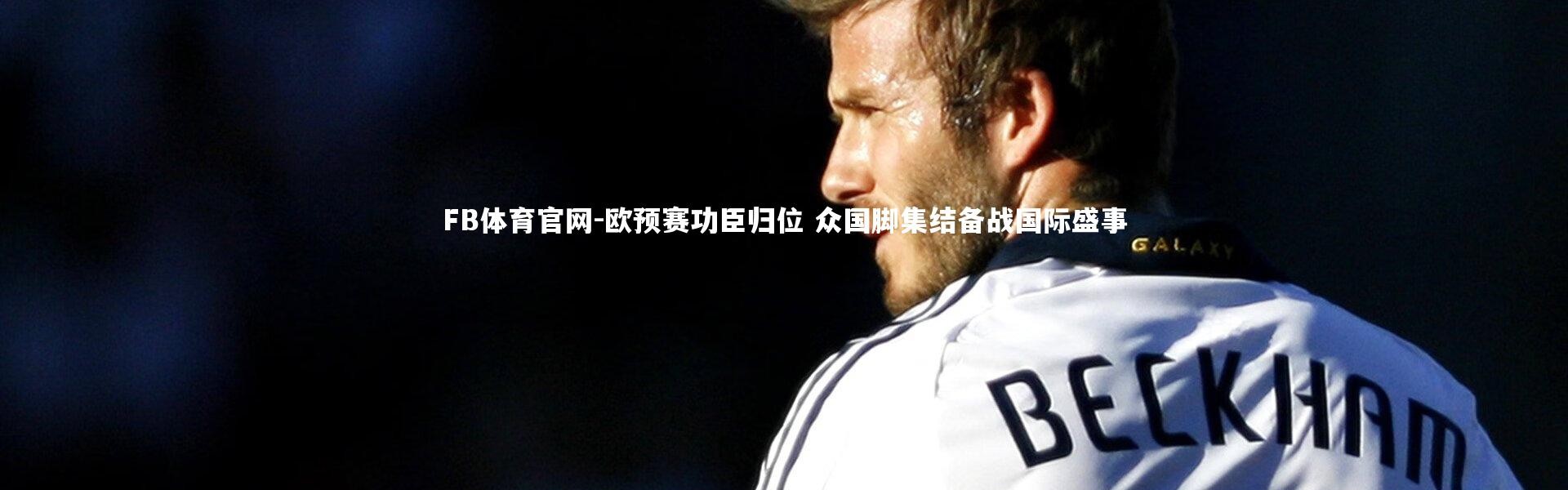 FB体育官网-欧预赛功臣归位 众国脚集结备战国际盛事
