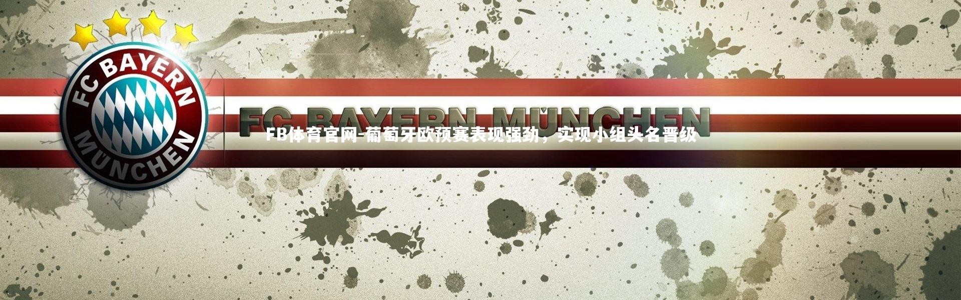 FB体育官网-葡萄牙欧预赛表现强劲，实现小组头名晋级